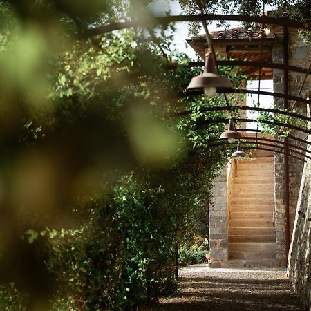 Tenuta Castelgiocondo 蒙塔尔奇诺 外观 照片